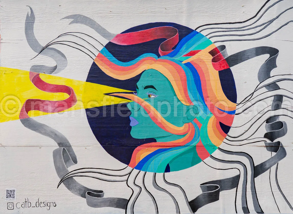 Art Alley Mural In Tyler, Texas A4-34802