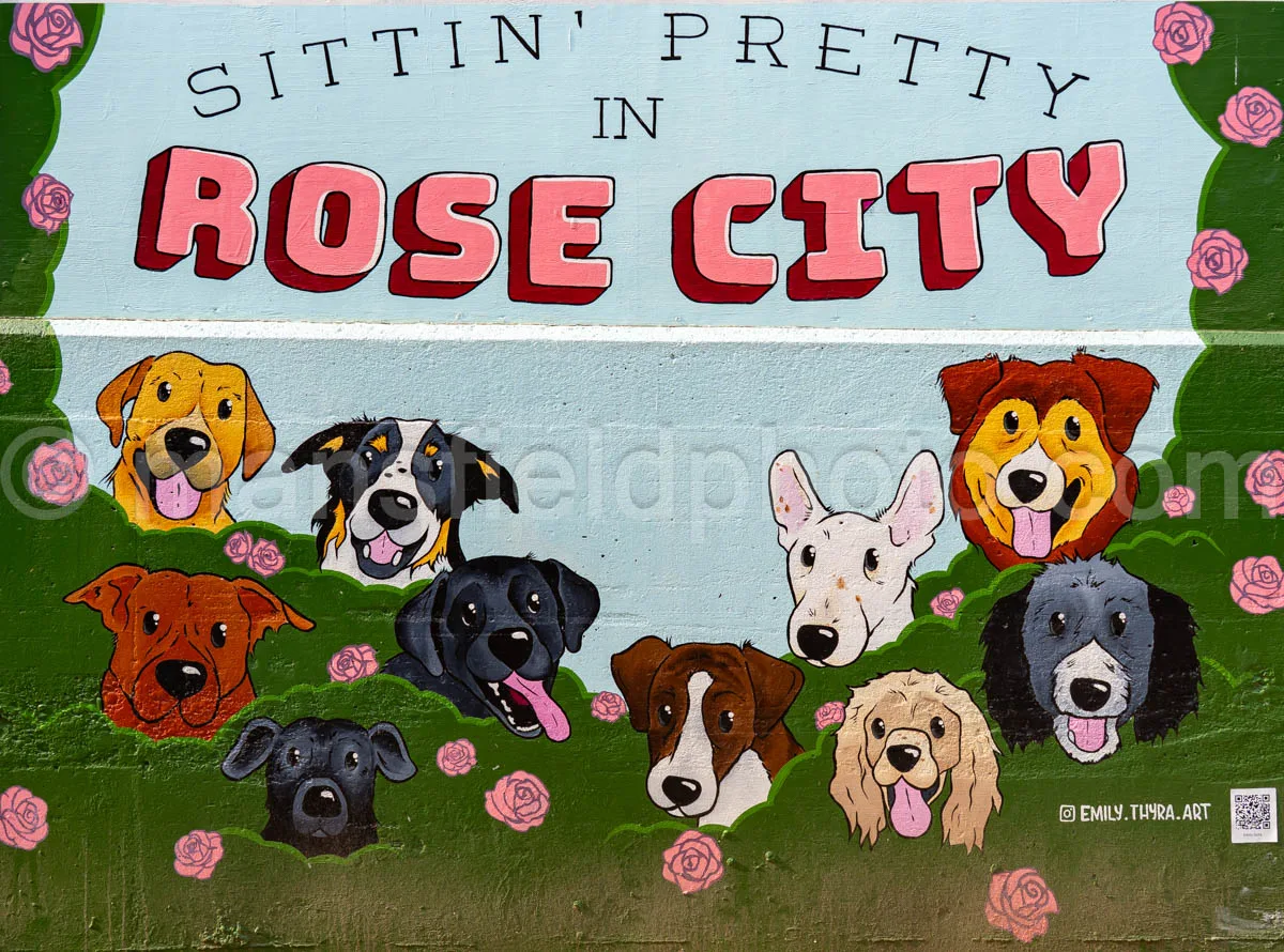 Art Alley Mural In Tyler, Texas A4-34804