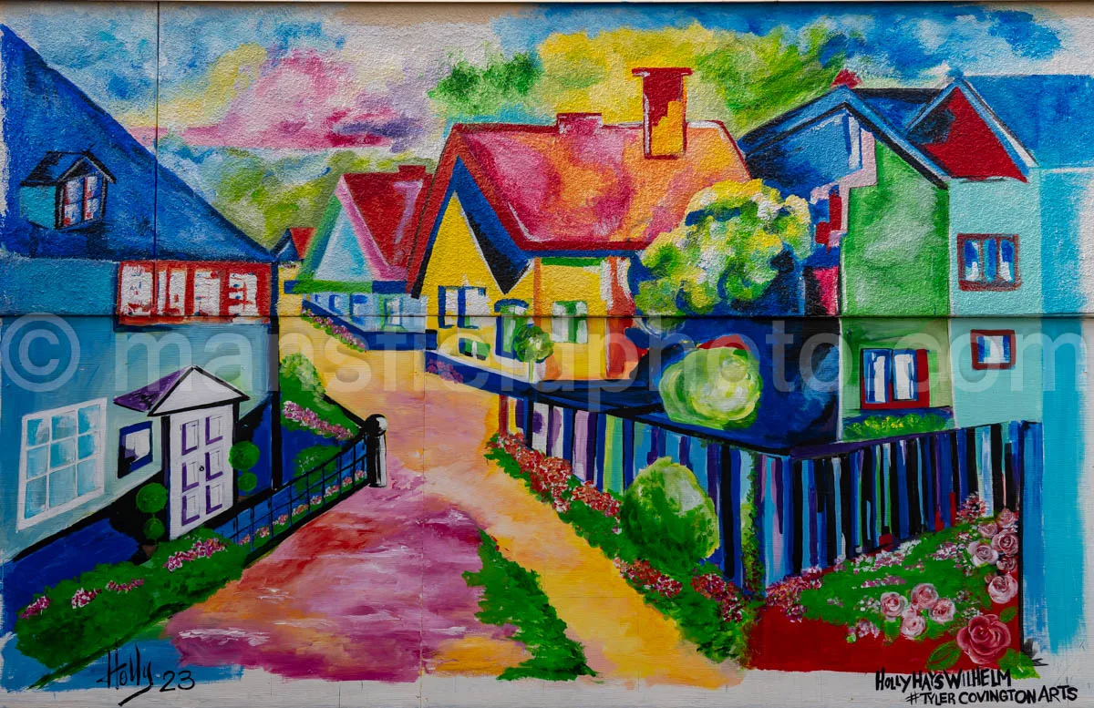 Art Alley Mural In Tyler, Texas A4-34806
