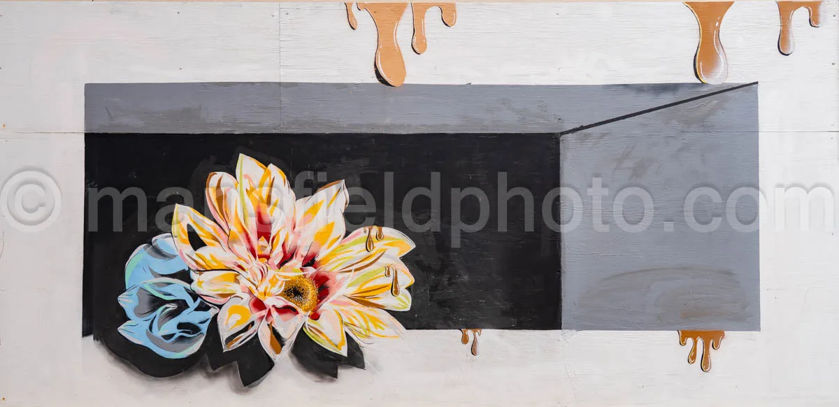 Art Alley Mural In Tyler, Texas A4-34808