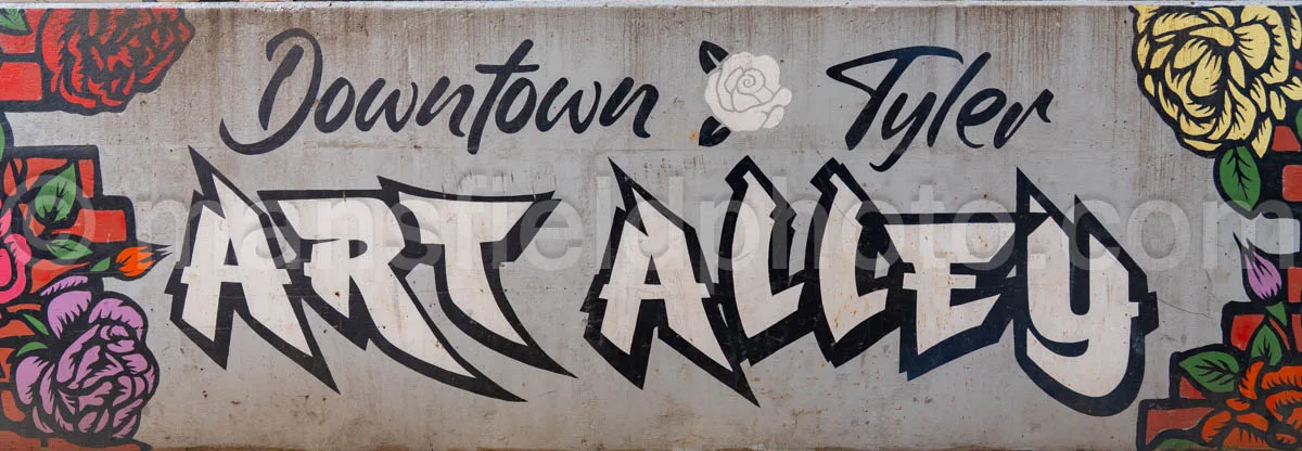 Art Alley Mural In Tyler, Texas A4-34810