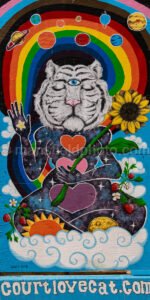 Art Alley Mural In Tyler, Texas A4-34813 - Mansfield Photography