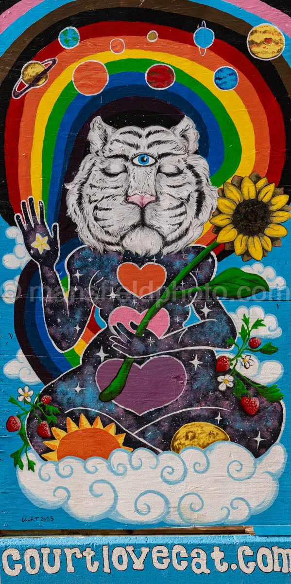 Art Alley Mural In Tyler, Texas A4-34813