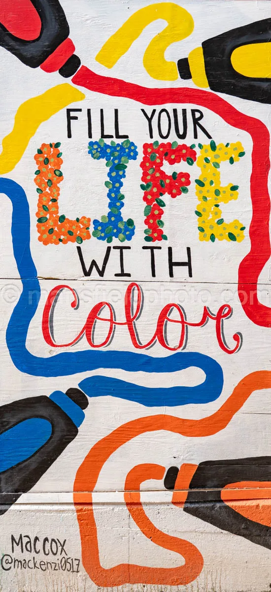 Art Alley Mural In Tyler, Texas A4-34814