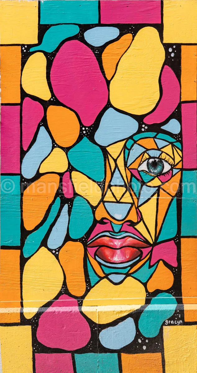 Art Alley Mural In Tyler, Texas A4-34817