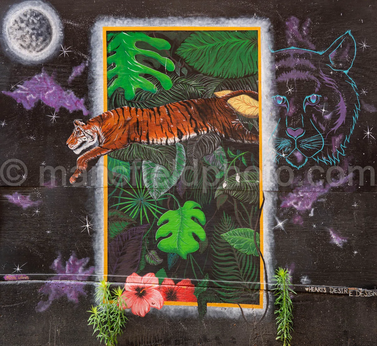 Art Alley Mural In Tyler, Texas A4-34819
