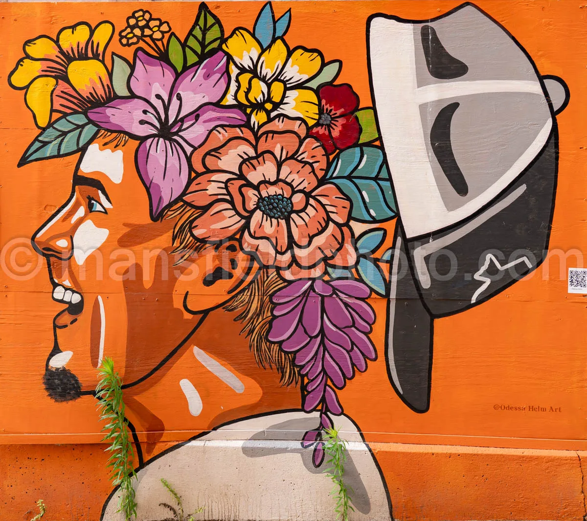 Art Alley Mural In Tyler, Texas A4-34820
