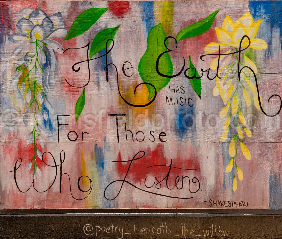 Art Alley Mural In Tyler, Texas A4-34822