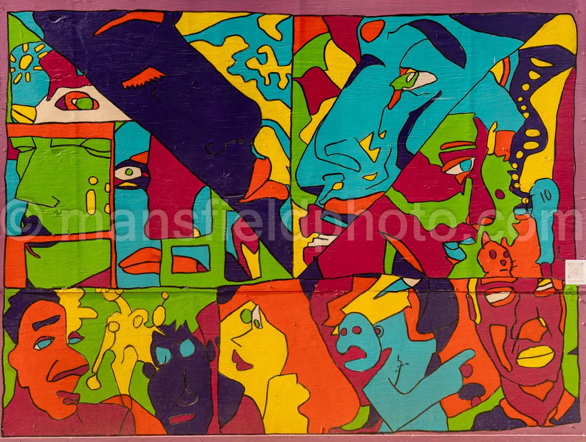 Art Alley Mural In Tyler, Texas A4-34824