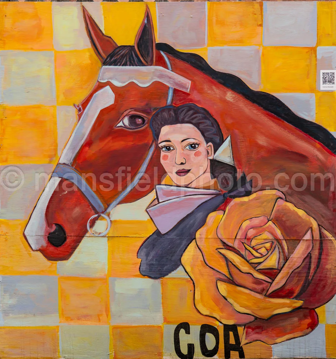 Art Alley Mural In Tyler, Texas A4-34827