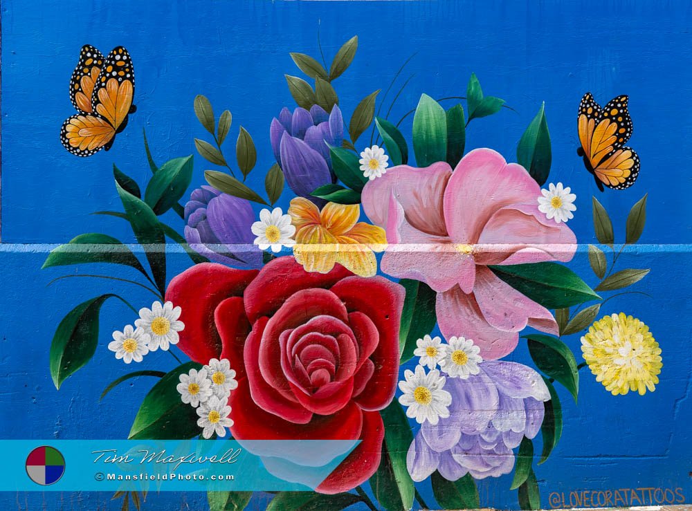 Tyler Art Alley Mural - Rose And Flowers