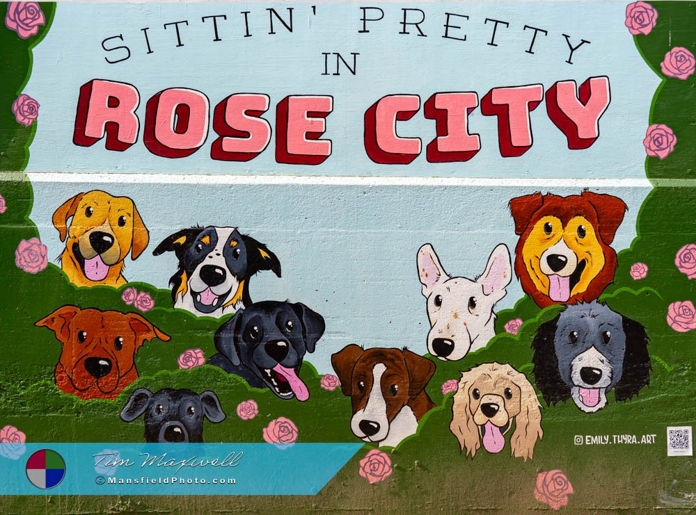 Tyler Art Alley Mural - Sitting Pretty In Rose City
