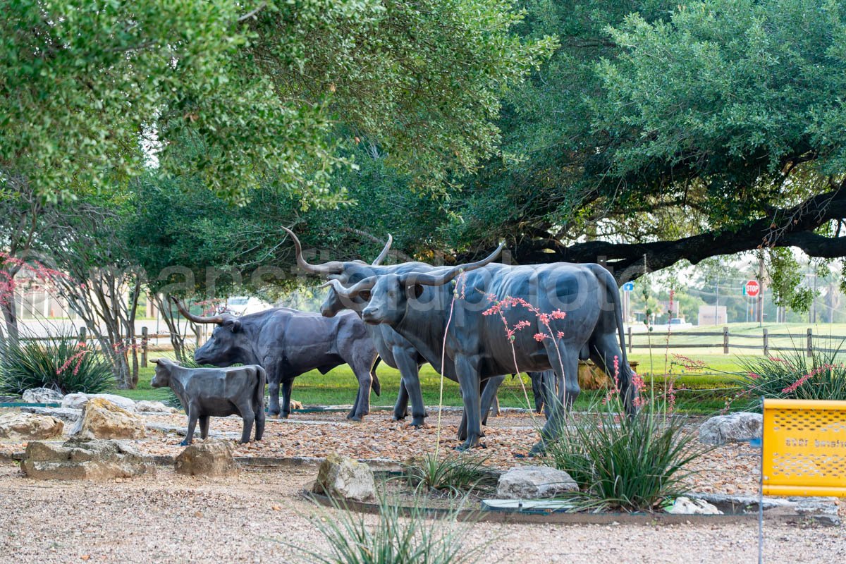 Yoakum, Texas A4-35199