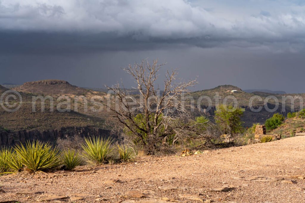 Davis Mountains State Park A4-35590 - Mansfield Photography