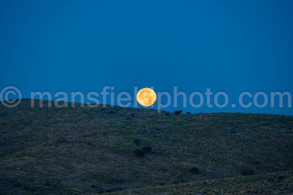 Moonset In Davis Mountains State Park A4-35704 - Mansfield Photography