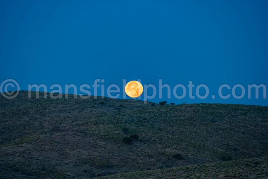 Moonset In Davis Mountains State Park A4-35704 - Mansfield Photography
