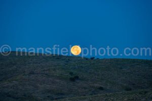 Moonset In Davis Mountains State Park A4-35704 - Mansfield Photography