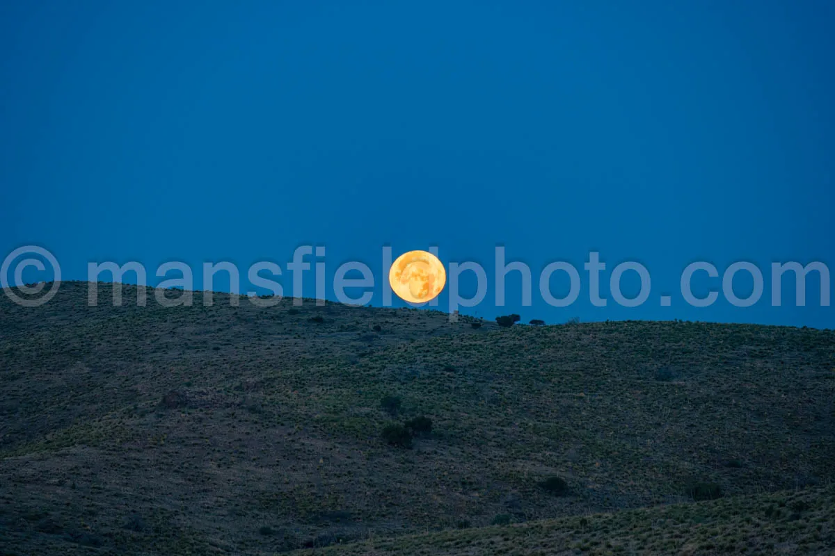 Moonset In Davis Mountains State Park A4-35704