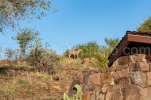 Loo With A View In Davis Mountains State Park A4-35799 - Mansfield Photography