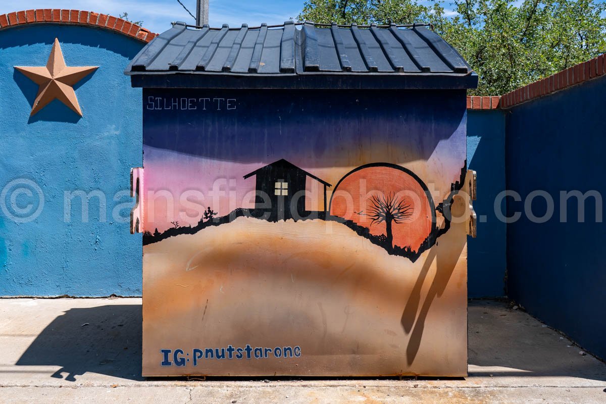 Garbage Bin Mural In Alpine, Texas A4-35941