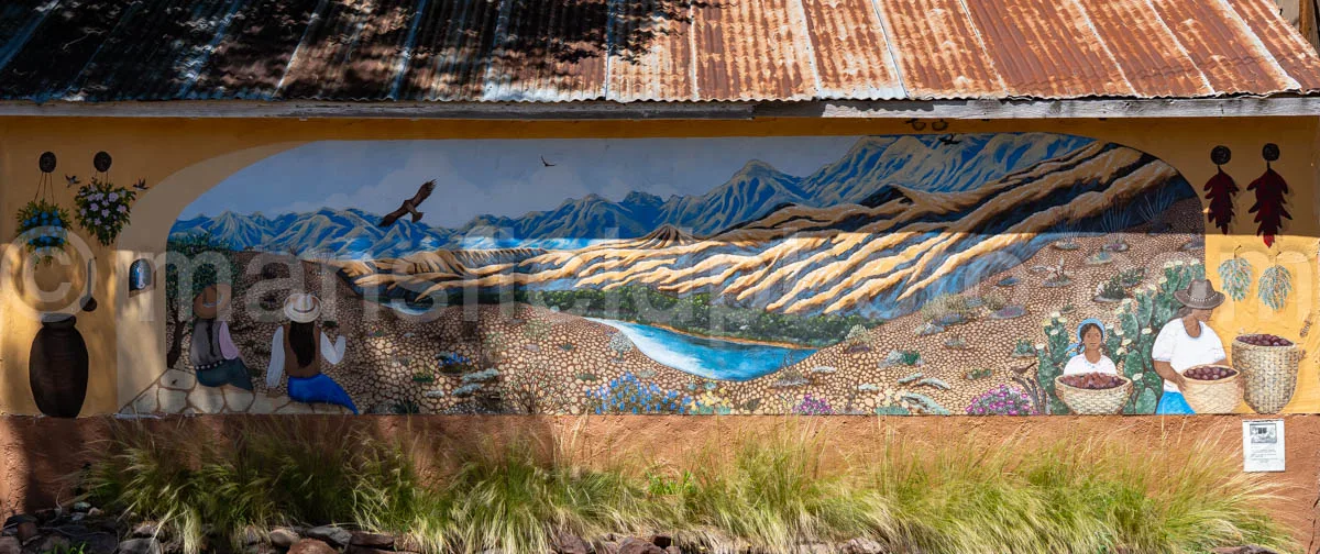 Mural In Alpine, Texas A4-35942