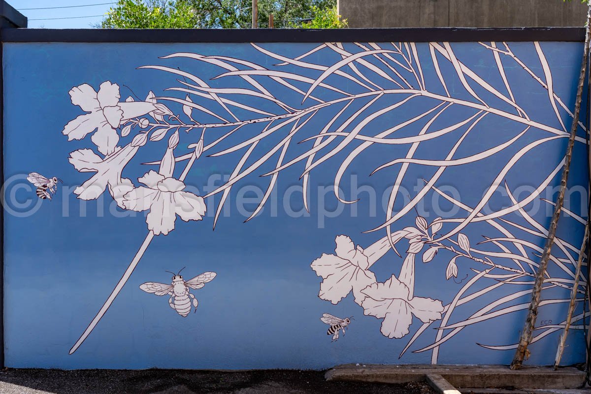 Mural In Alpine, Texas A4-35949