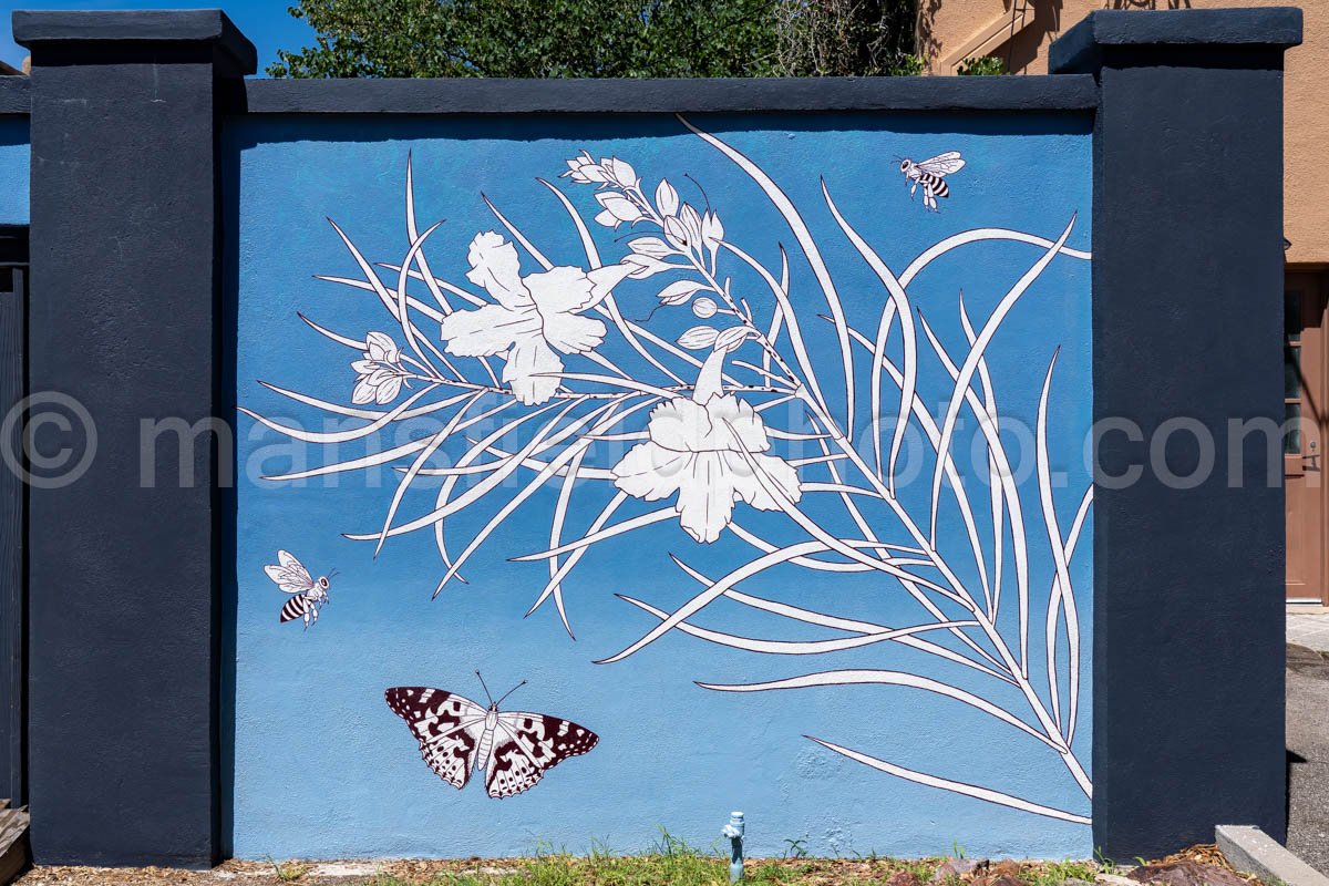 Mural In Alpine, Texas A4-35950