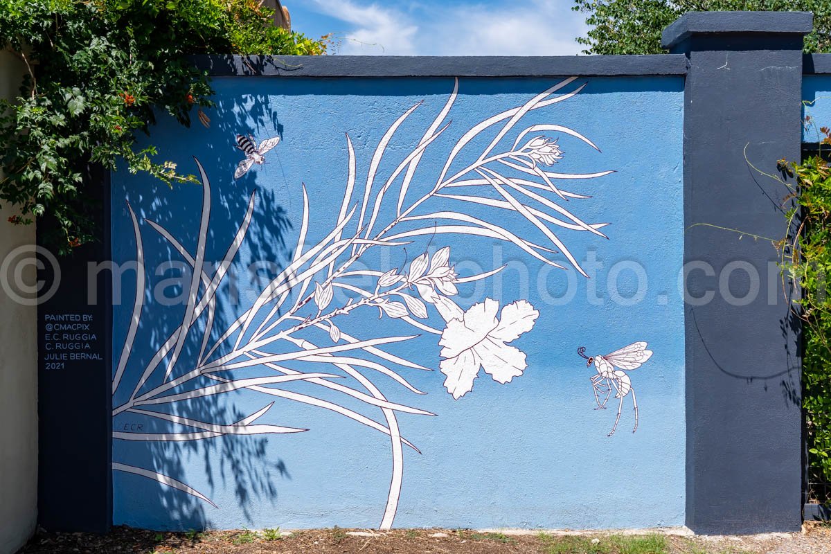Mural In Alpine, Texas A4-35951