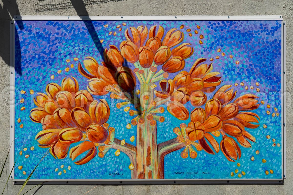 Agave Genesis Mural In Alpine, Texas A4-35952