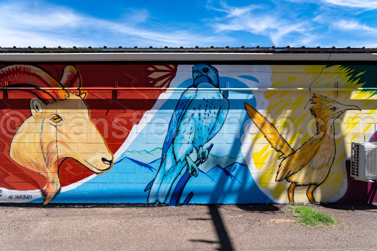 Mural In Alpine, Texas A4-35956