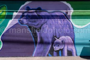 Mural In Alpine, Texas A4-35957 - Mansfield Photography