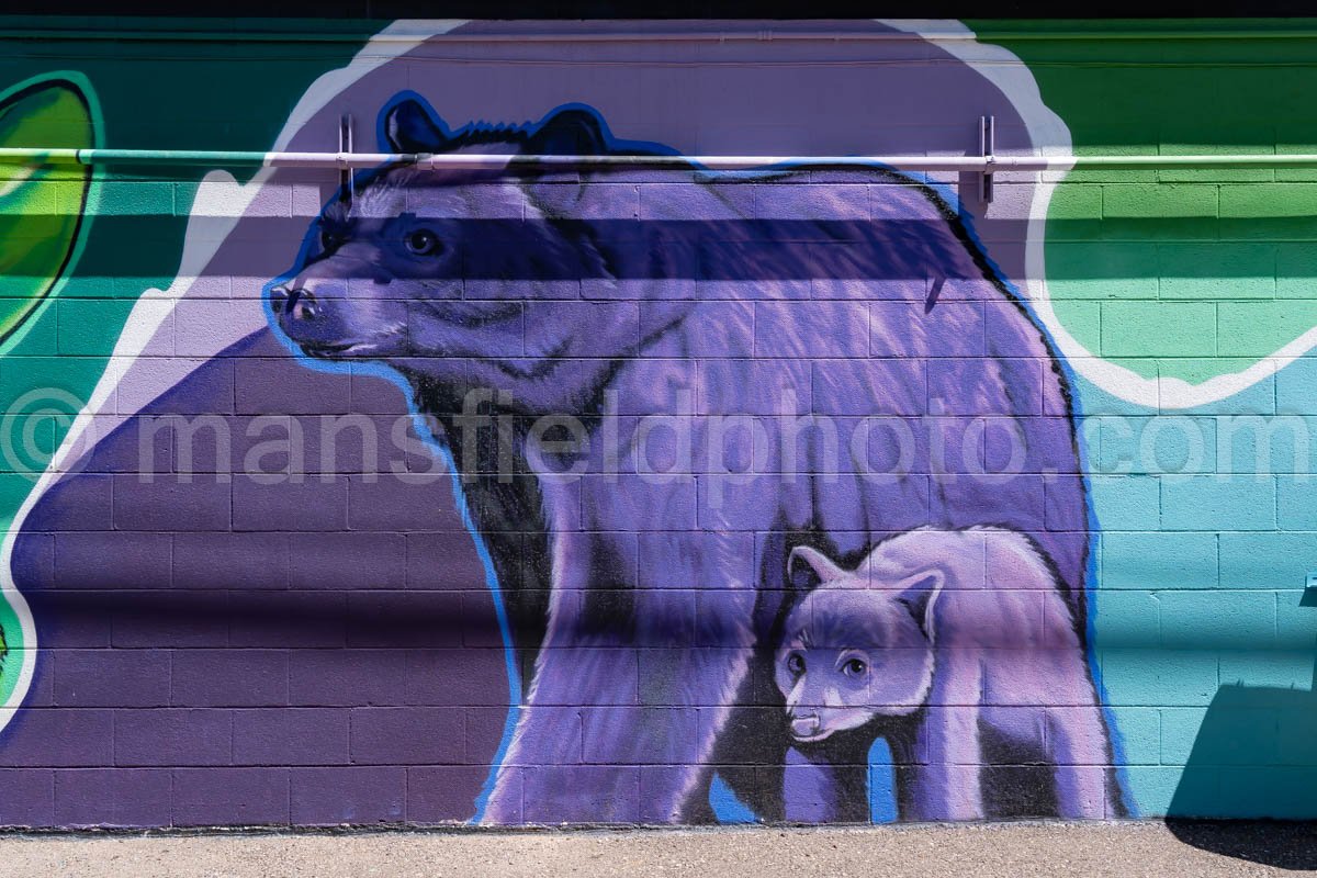 Mural In Alpine, Texas A4-35957