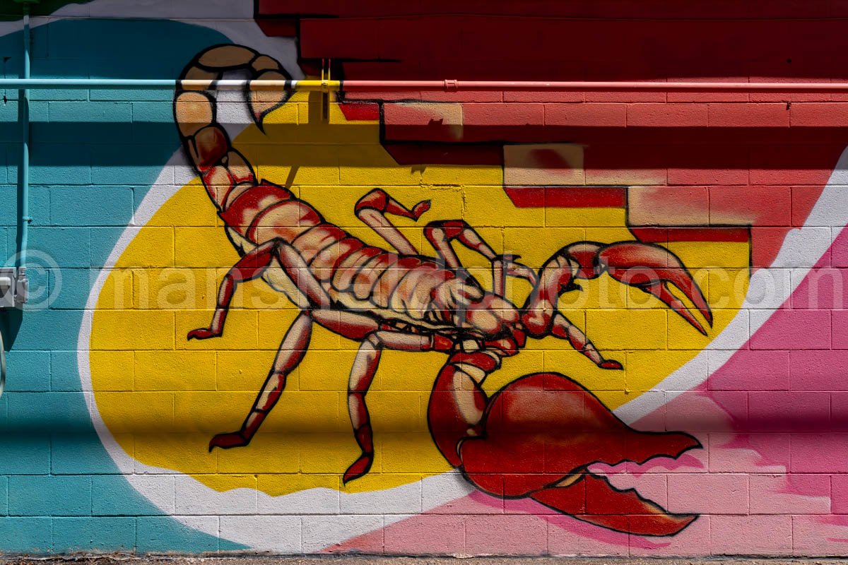 Mural In Alpine, Texas A4-35958