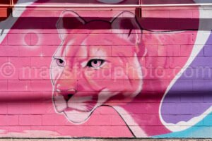 Mural In Alpine, Texas A4-35959 - Mansfield Photography
