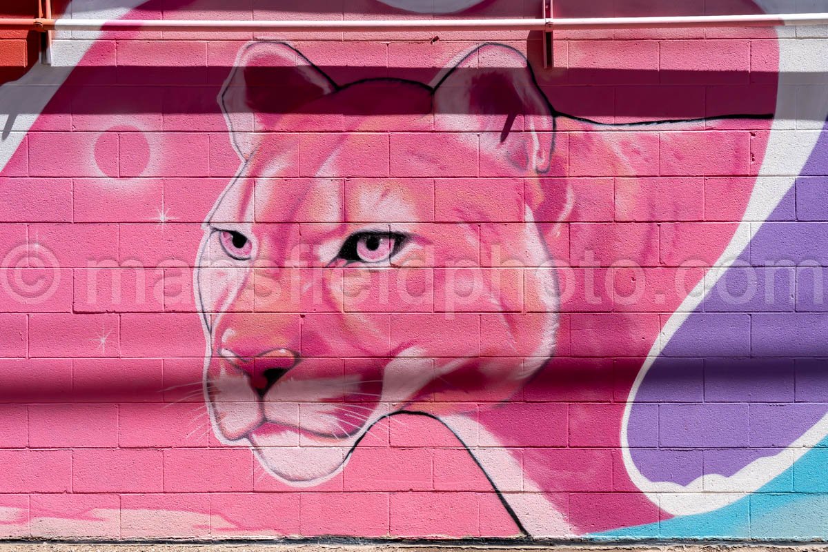 Mural In Alpine, Texas A4-35959