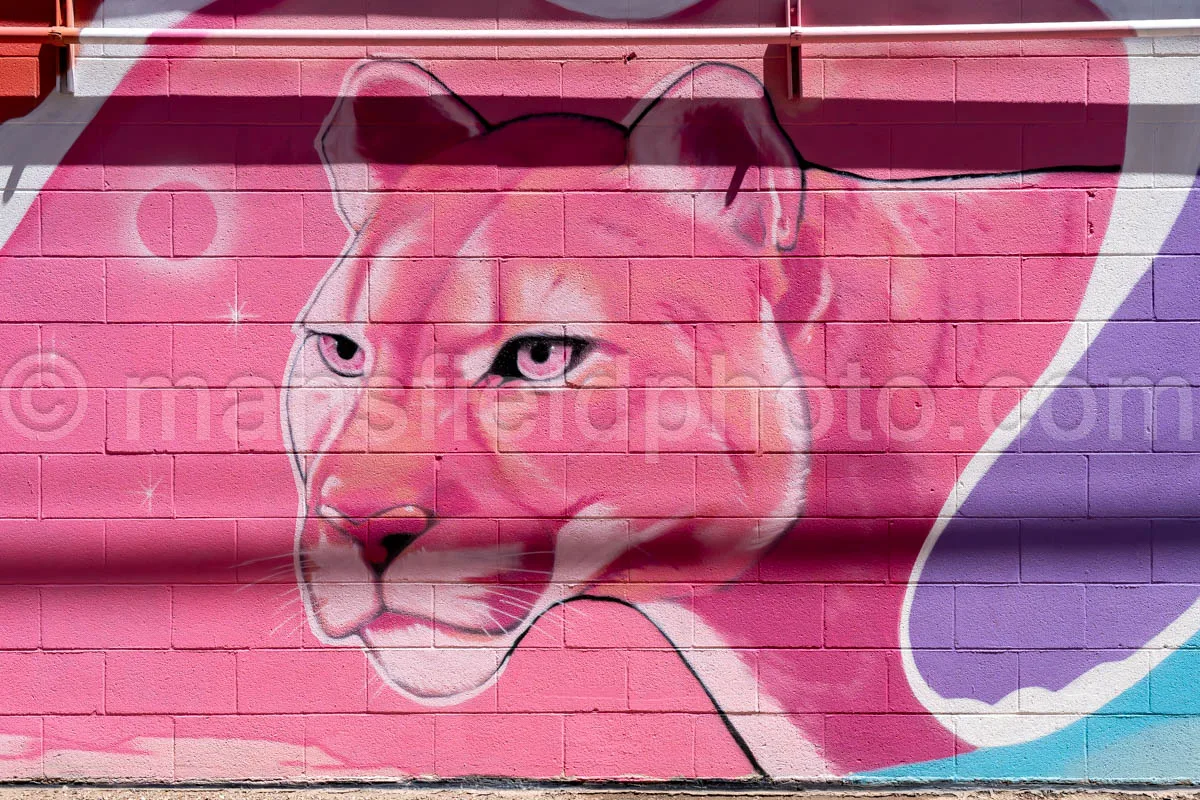 Mural In Alpine, Texas A4-35959