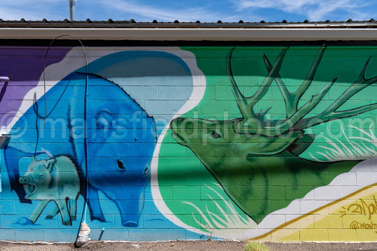 Mural In Alpine, Texas A4-35960