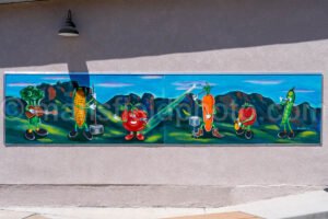 Mural In Alpine, Texas A4-35967 - Mansfield Photography