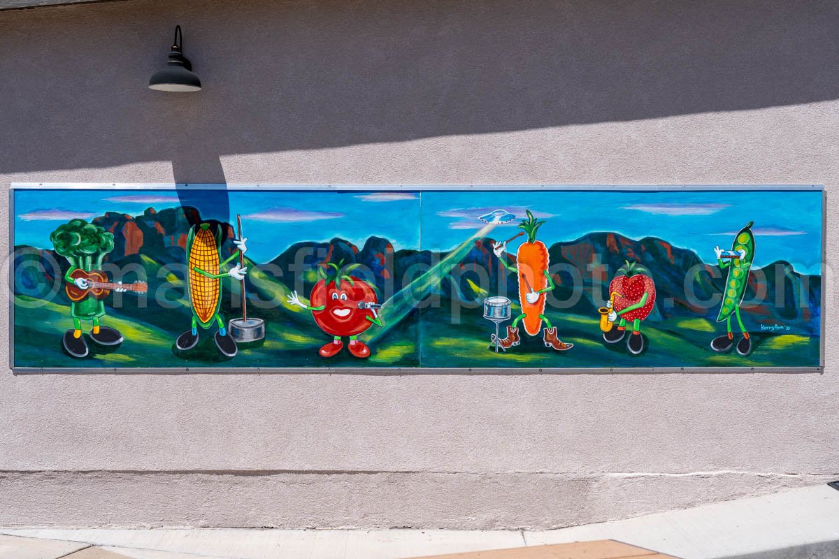 Mural In Alpine, Texas A4-35967