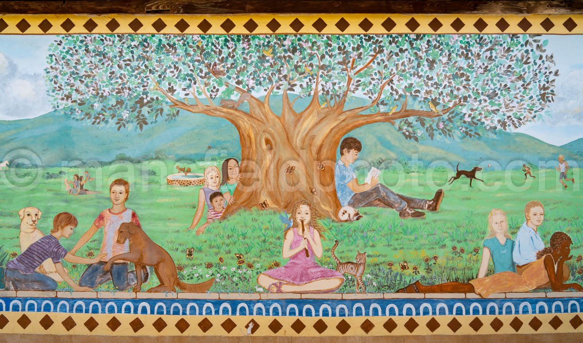 Mural In Alpine, Texas A4-35989