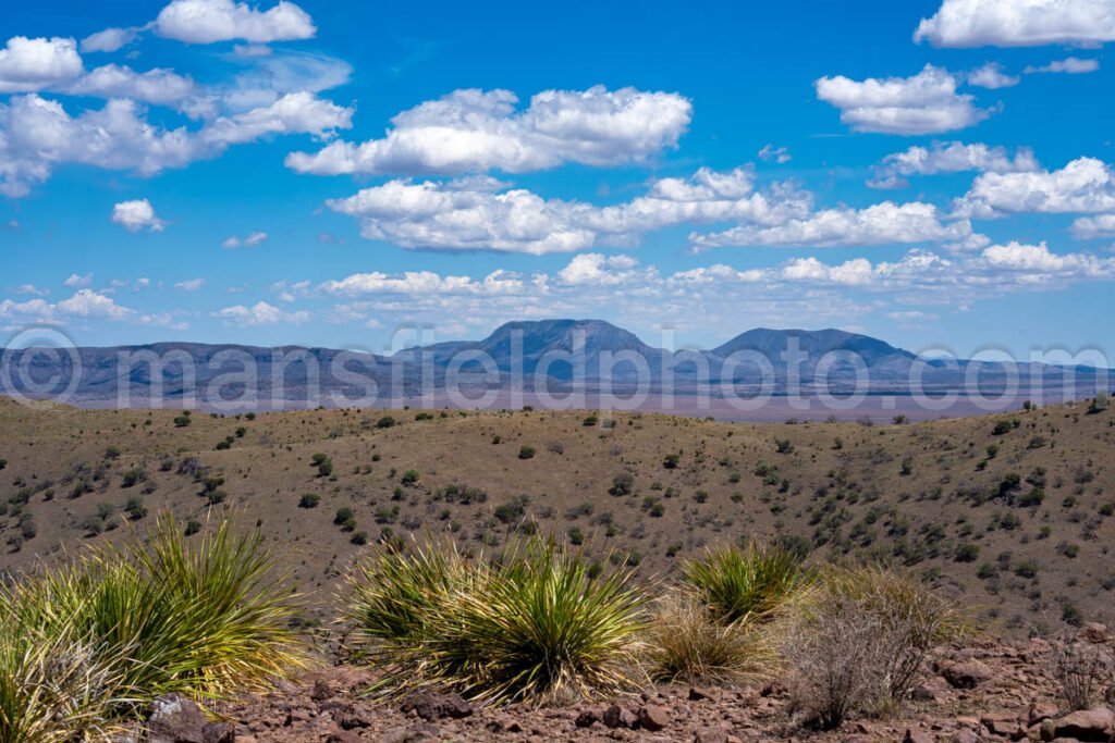 Indian Lodge Trail, Davis Mountains State Park A4-36022 - Mansfield Photography