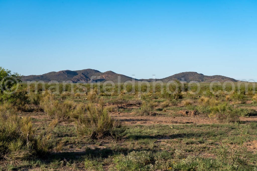 Marfa Lights Viewing Area Near Marfa, Texas A4-36183 - Mansfield Photography