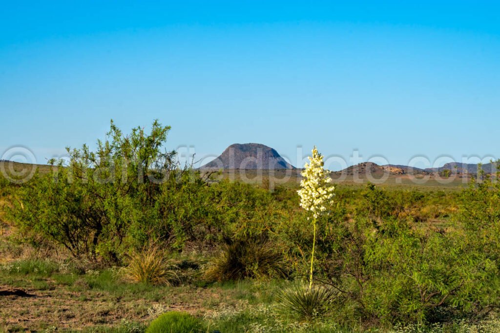 Marfa Lights Viewing Area Near Marfa, Texas A4-36184 - Mansfield Photography