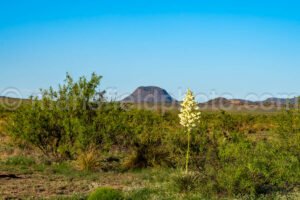 Marfa Lights Viewing Area Near Marfa, Texas A4-36184 - Mansfield Photography