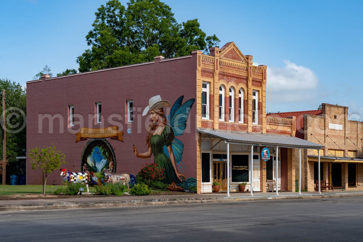 Goliad, Texas A4-36272