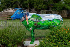 Cow In Goliad, Texas A4-36275 - Mansfield Photography