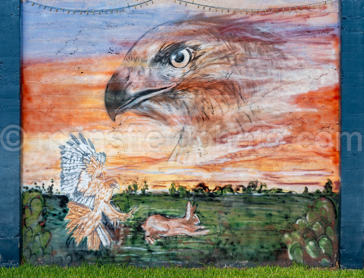 Eagle Mural In Goliad, Texas A4-36281