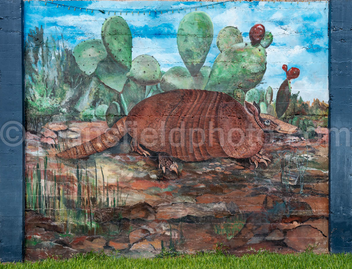 Armadillo Mural In Goliad, Texas A4-36282