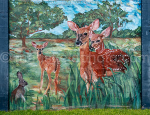 Deer Mural In Goliad, Texas A4-36283 - Mansfield Photography