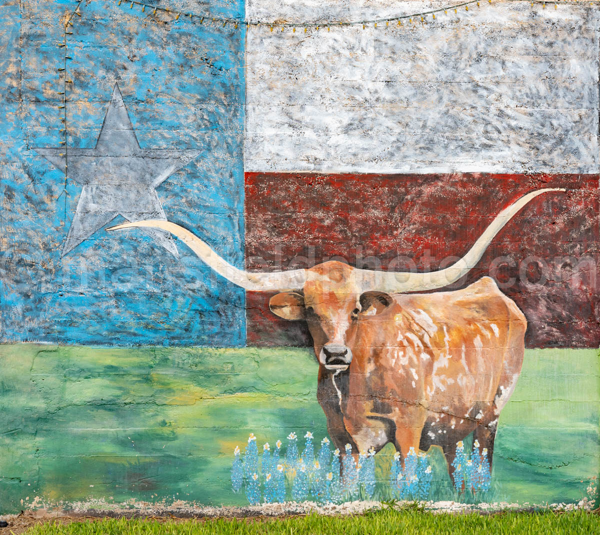 Steer Mural In Goliad, Texas A4-36285